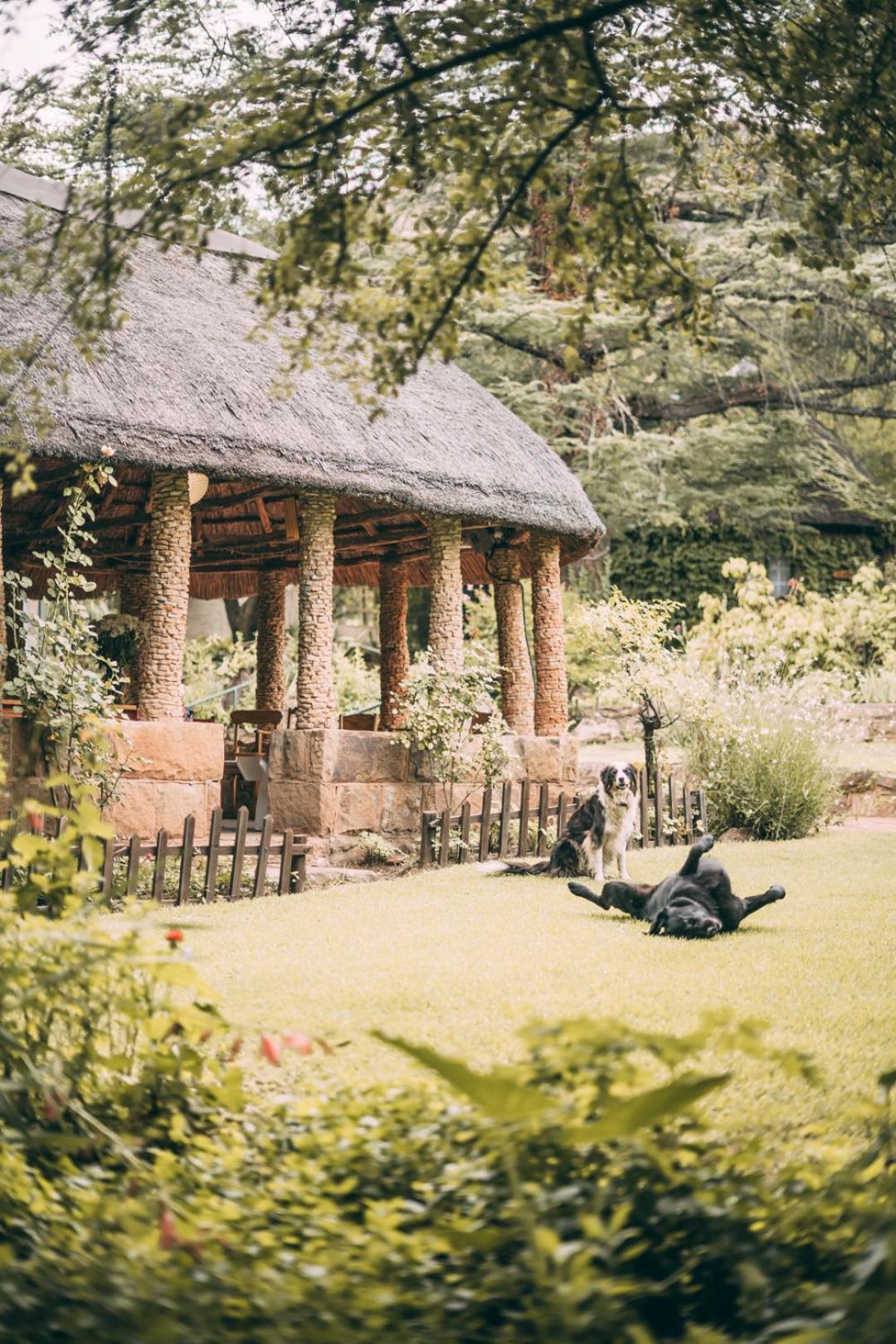 Wyndford Holiday Farm Fouriesburg Zewnętrze zdjęcie